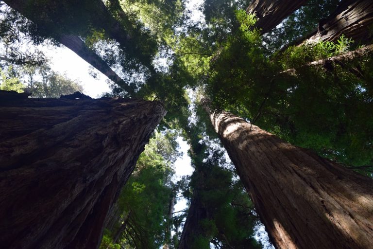 Exploring the Great Outdoors: Budget-Friendly Travel Tips